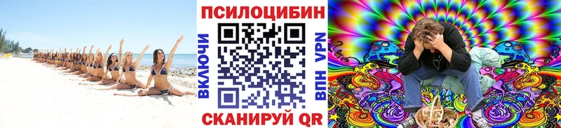 Галлюциногенные грибы прущие грибы Купить закладки Бабушкин