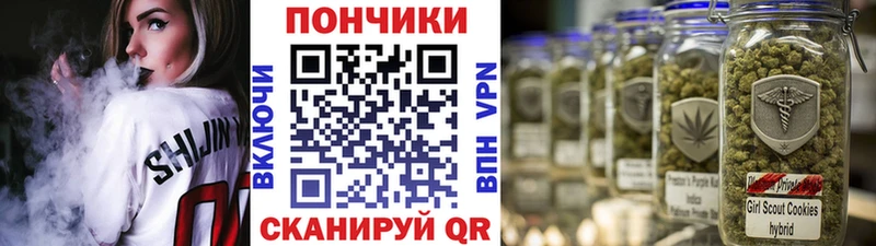 Бошки Шишки SATIVA & INDICA  Купить закладки  Бабушкин 